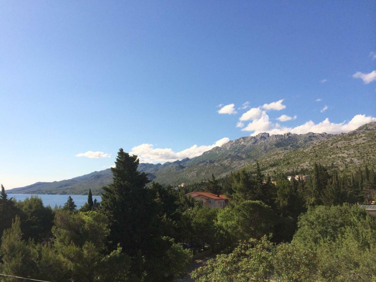 Apartments Villa Jusup Starigrad Paklenica Zewnętrze zdjęcie