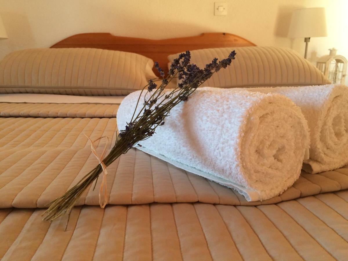 Apartments Villa Jusup Starigrad Paklenica Zewnętrze zdjęcie